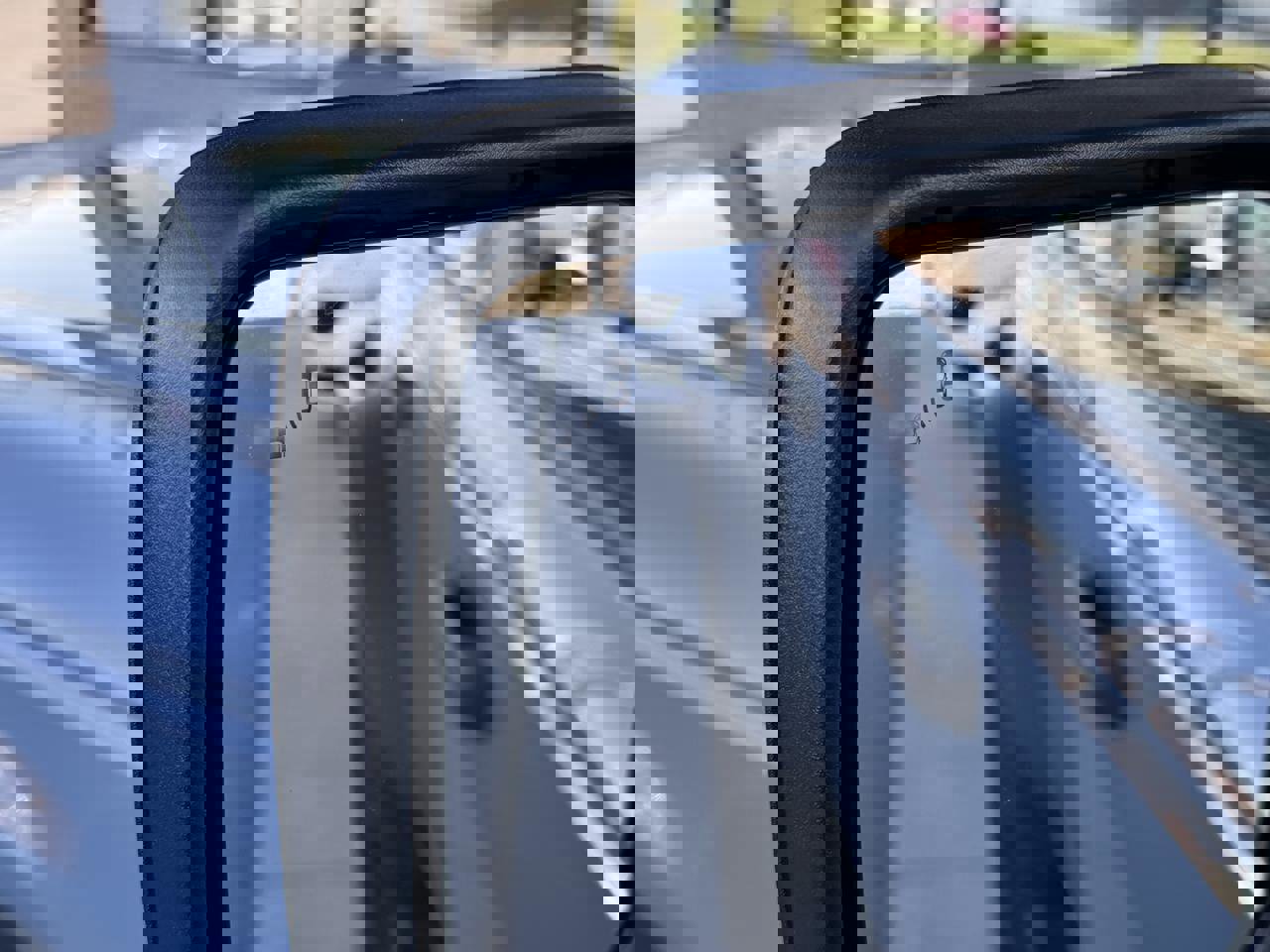 Used 2024 Ford Bronco Black Diamond image 11