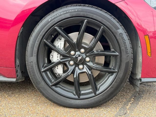 Used 2025 Ford Mustang GT Premium w/ Mustang Nite Pony Package image 6