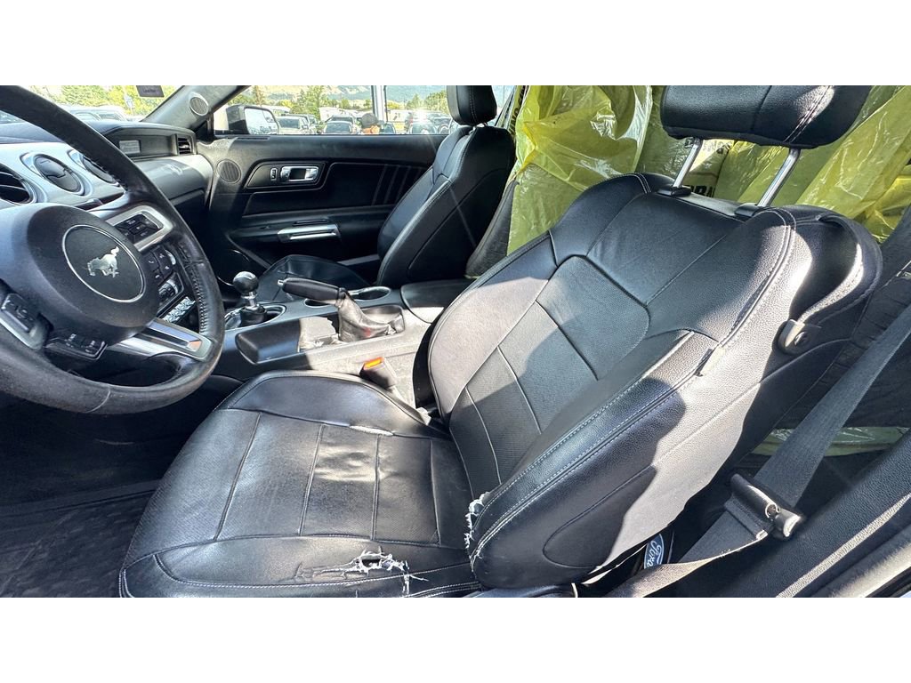 Used 2016 Ford Mustang Premium image 13