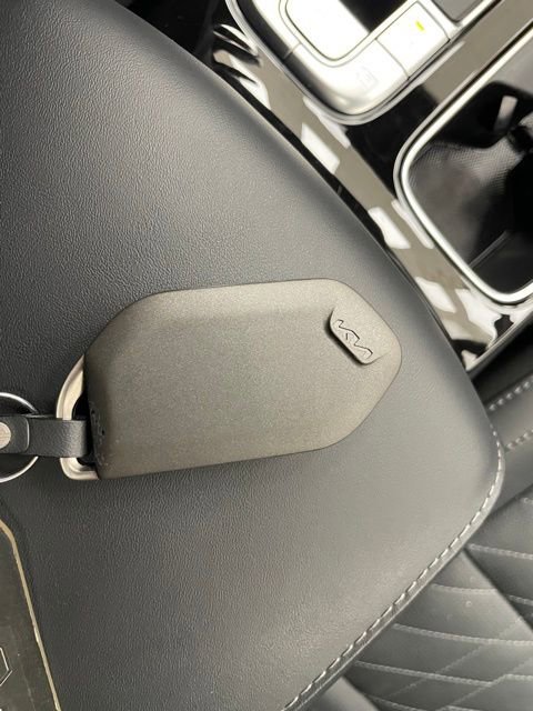 Used 2024 Kia Telluride SX Prestige X-Pro image 24