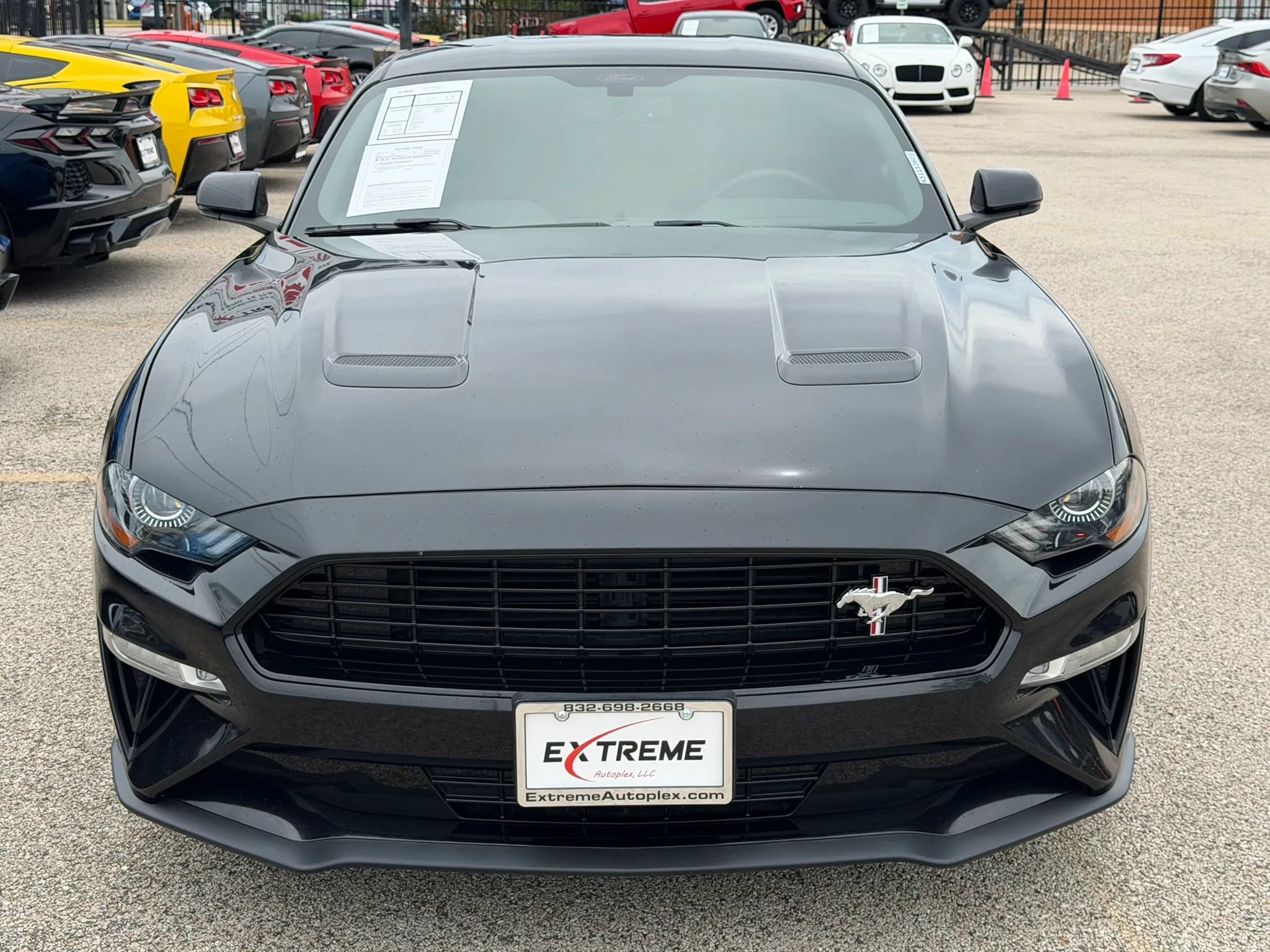Used 2019 Ford Mustang GT Premium w/ Equipment Group 401A RWD image 2