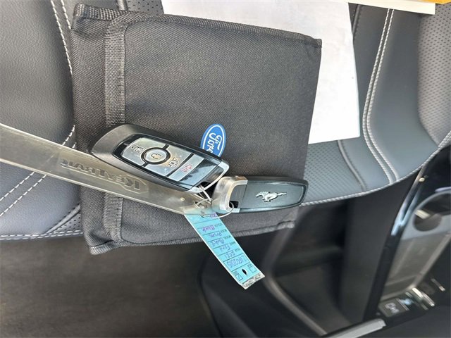 Used 2021 Ford Mustang Mach-E Premium image 4