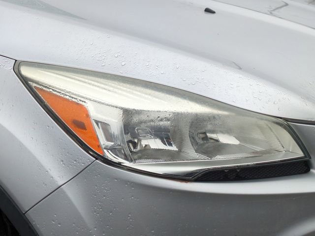 Used 2014 Ford Escape Titanium image 5