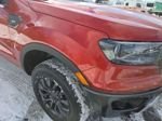 Used 2023 Ford Ranger XLT w/ Equipment Group 302A High image 8