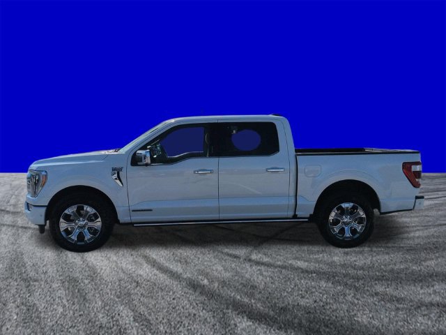 Certified 2022 Ford F150 Platinum w/ Equipment Group 701A High RWD image 7