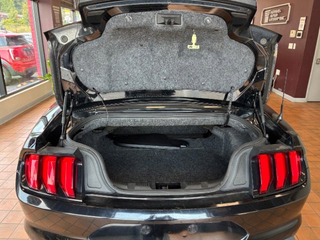 Used 2020 Ford Mustang Premium image 12