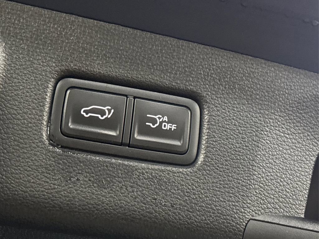 Used 2023 Kia Telluride SX X-Line image 13