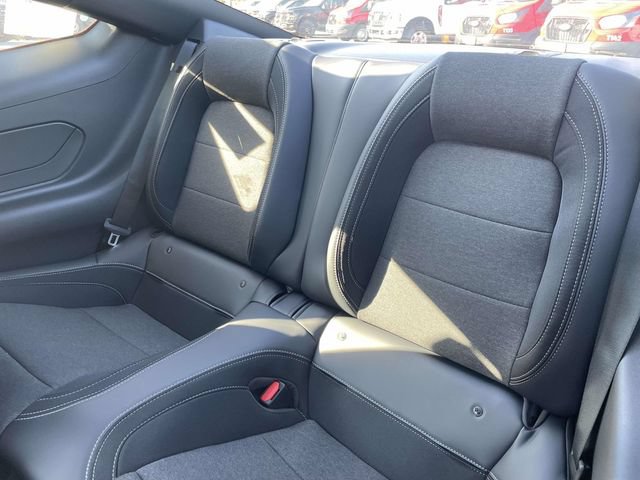 New 2026 Ford Mustang Coupe w/ Mustang Nite Pony Package RWD image 7