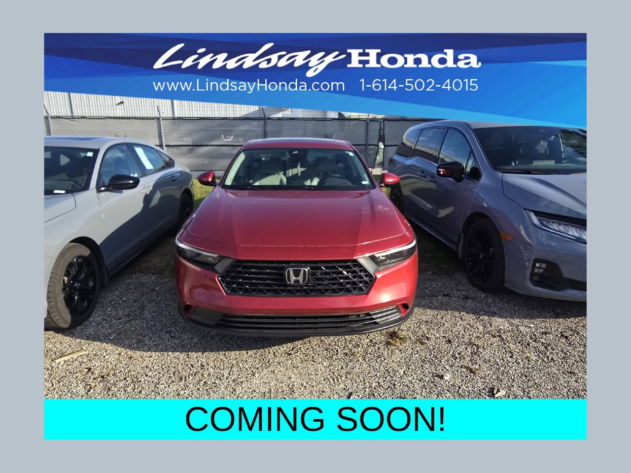 Used 2024 Honda Accord EX