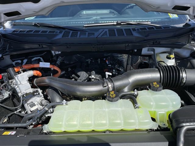 New 2026 Ford F150 XLT image 12
