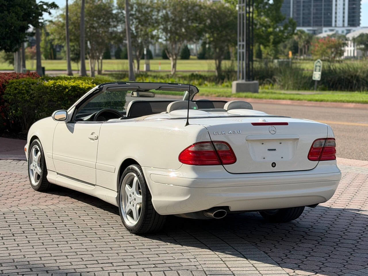 Used 2003 Mercedes-Benz CLK 430 Cabriolet image 5
