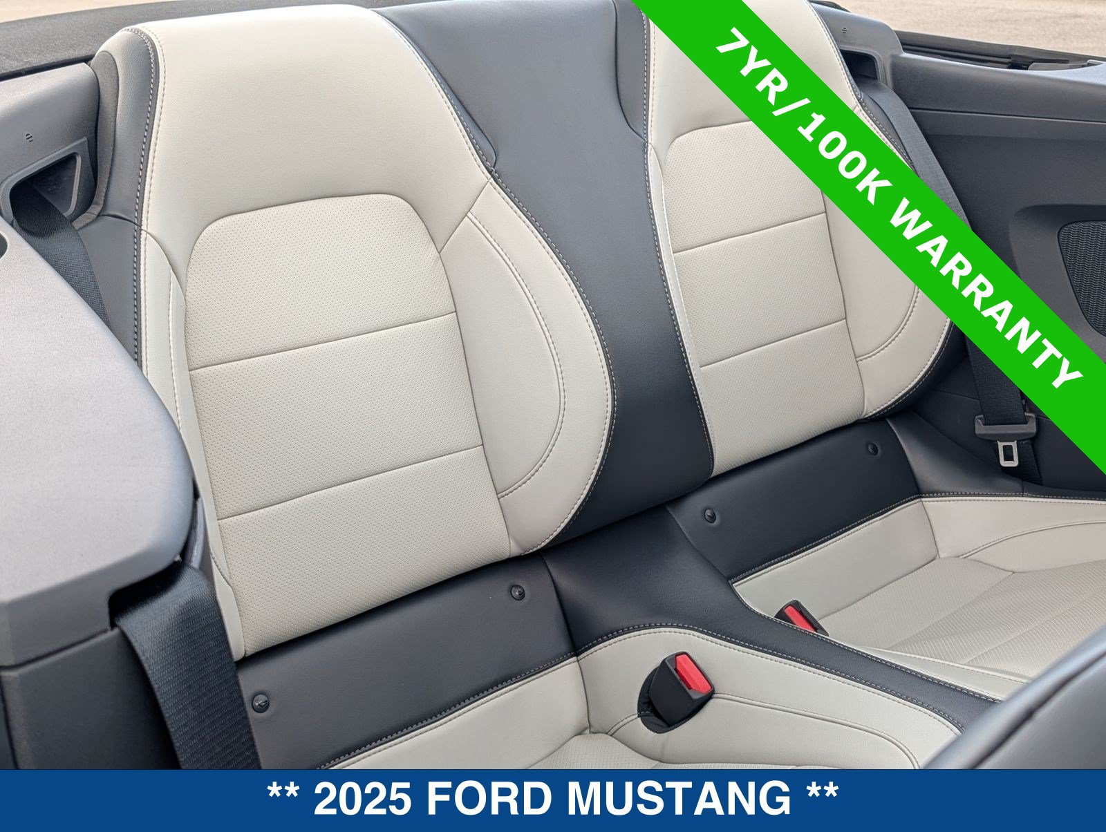 Used 2025 Ford Mustang Premium w/ Wheel & Stripe Package RWD image 16