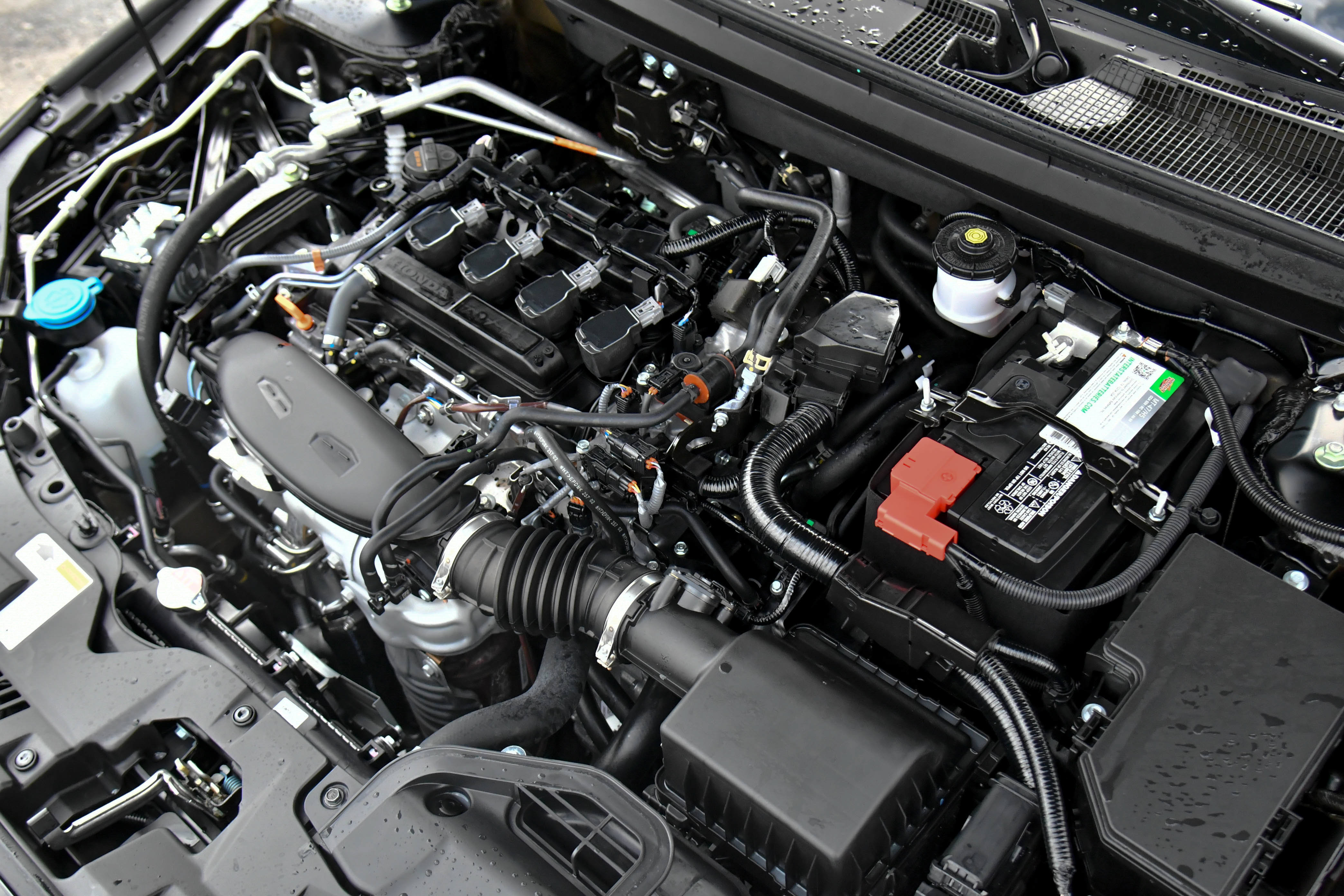 Used 2025 Honda Accord SE image 44