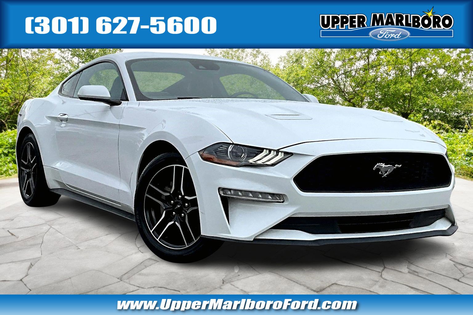 Used 2023 Ford Mustang Premium