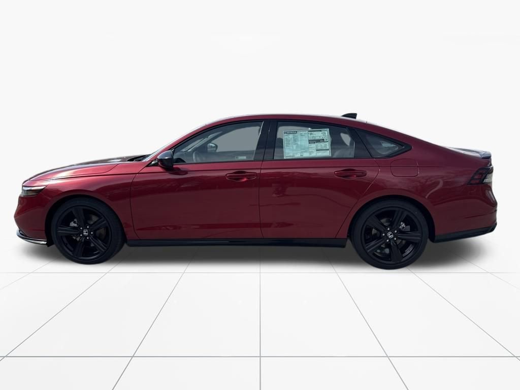New 2026 Honda Accord Sport image 5