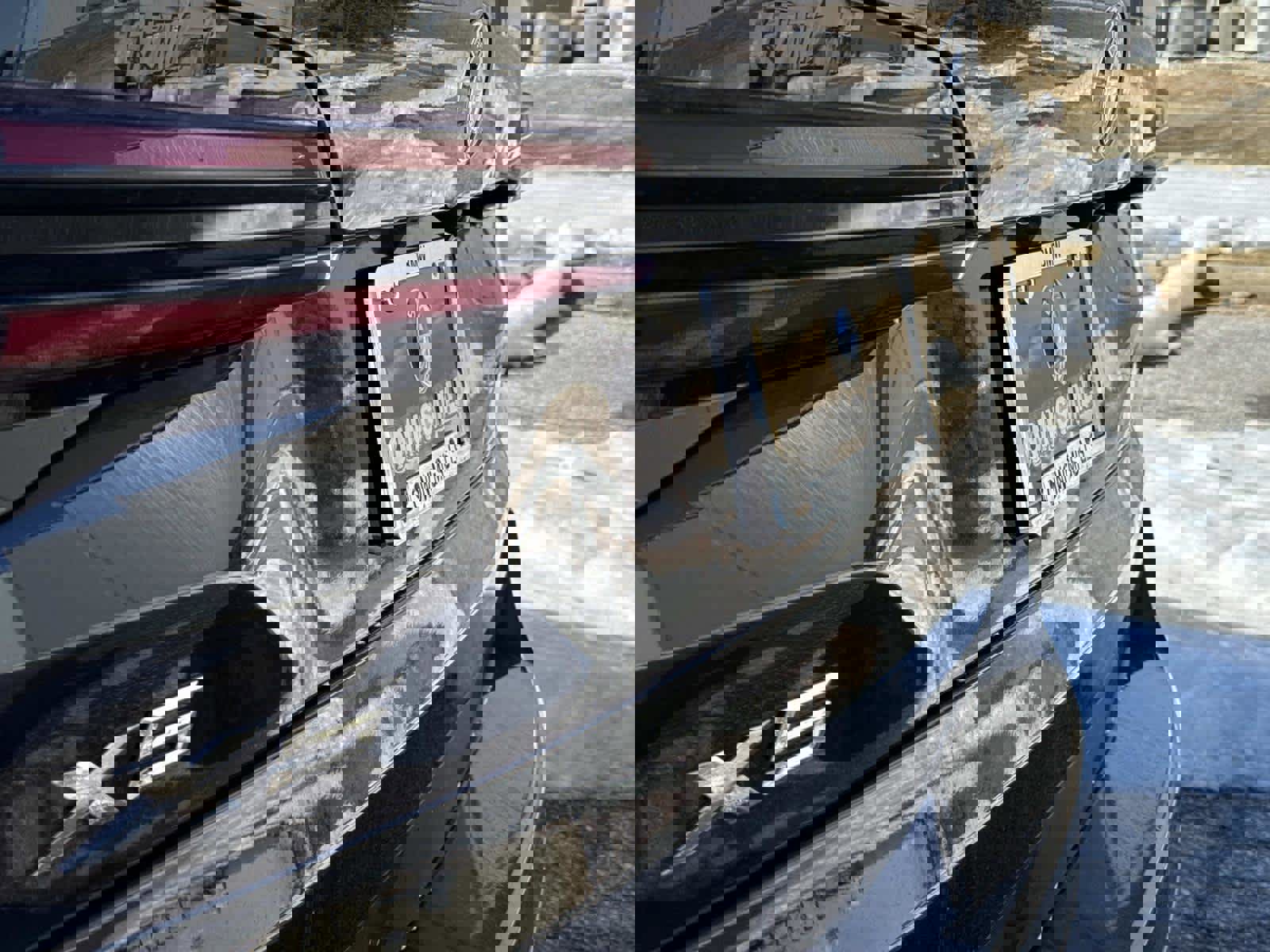 New 2026 BMW X5 xDrive40i w/ Executive Package image 11