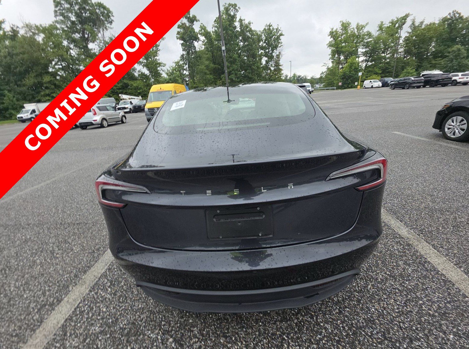 Used 2024 Tesla Model 3 Standard Range RWD image 4