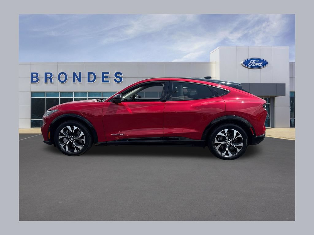 Used 2021 Ford Mustang Mach-E Premium AWD/4WD image 1