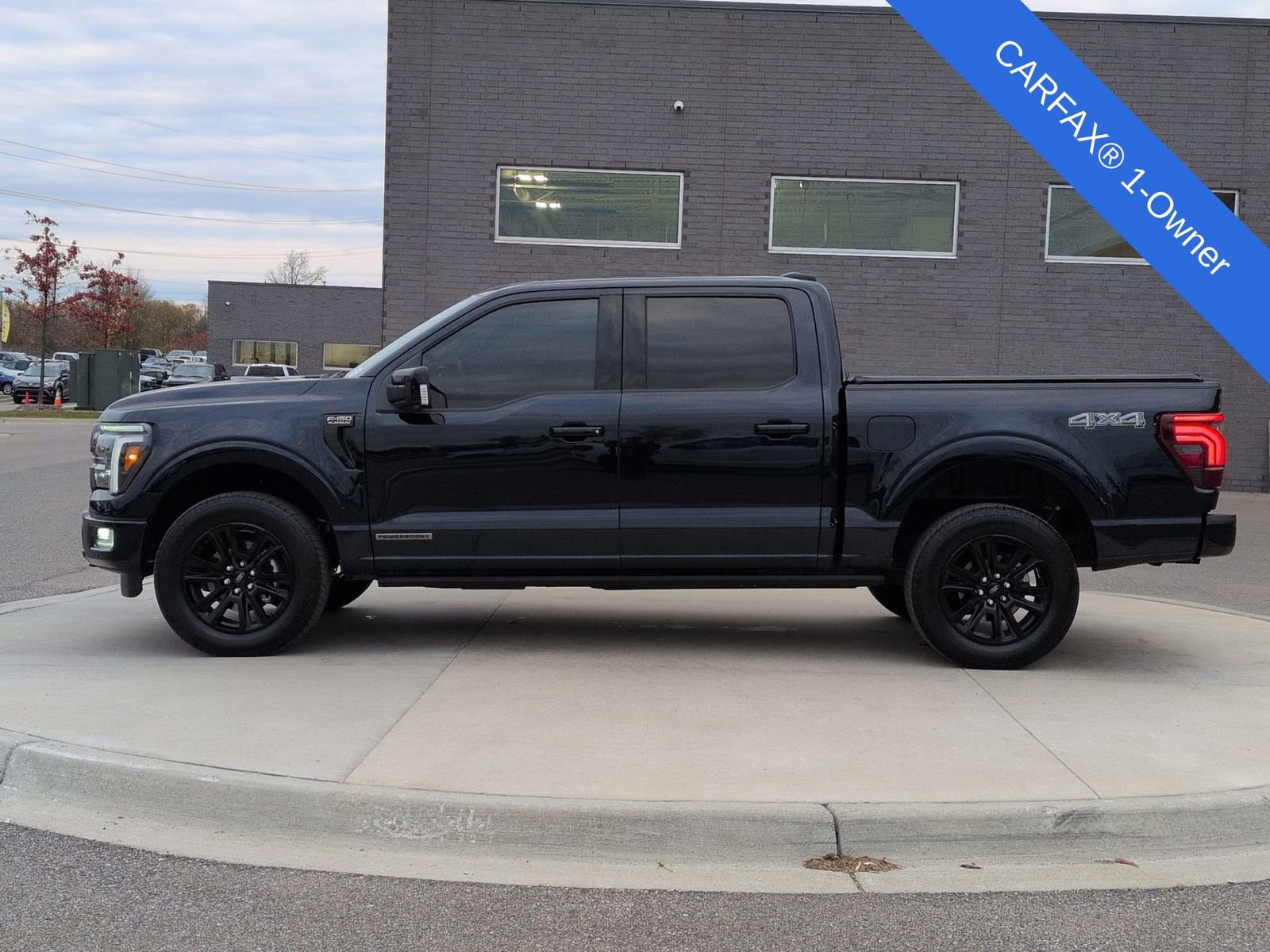 Used 2025 Ford F150 Platinum image 3