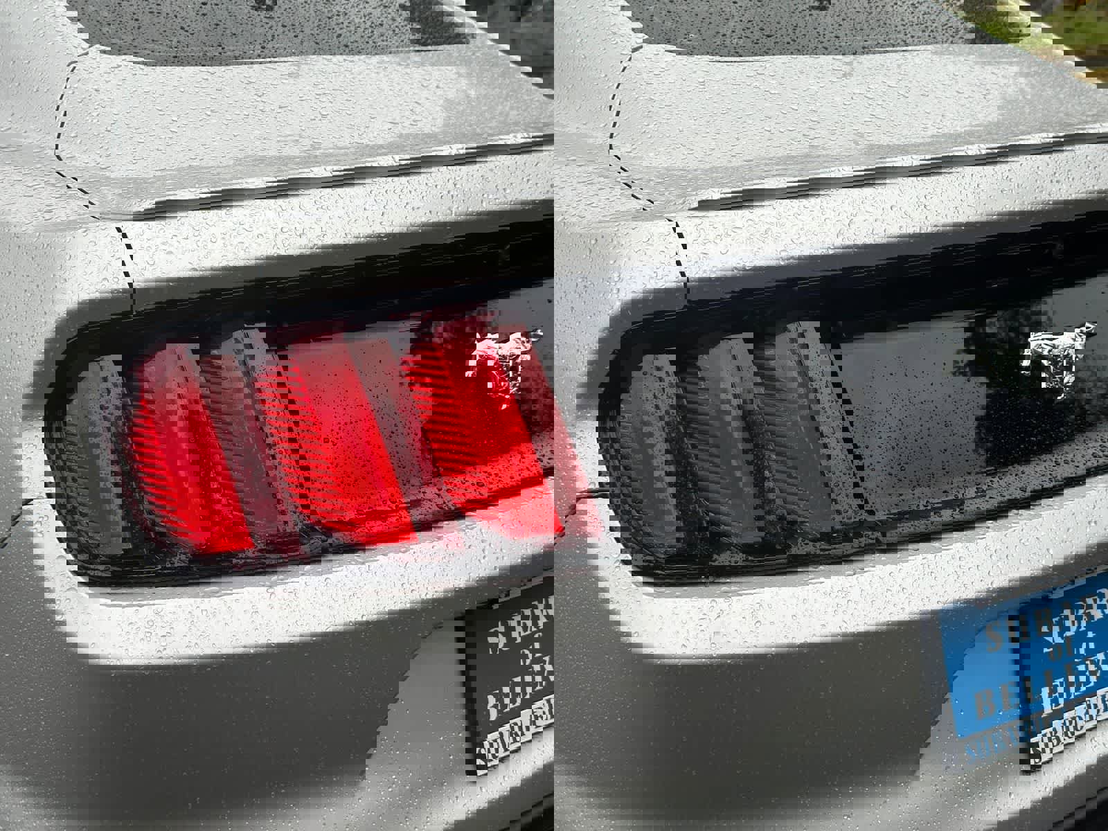 Used 2015 Ford Mustang Premium w/ Equipment Group 201A RWD image 6