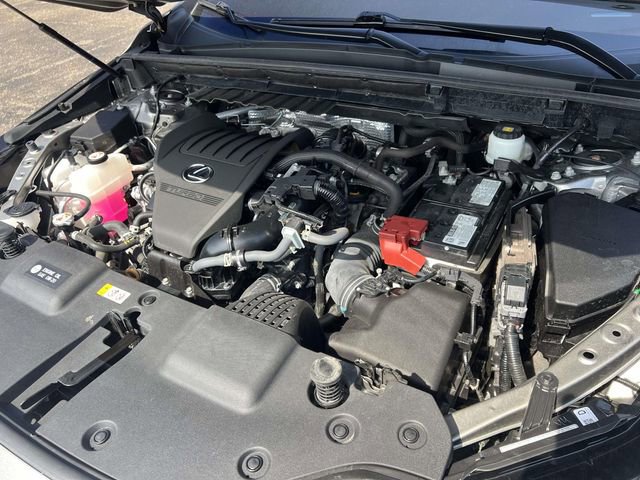 Used 2024 Lexus NX 350 AWD w/ Cold Area Package image 11