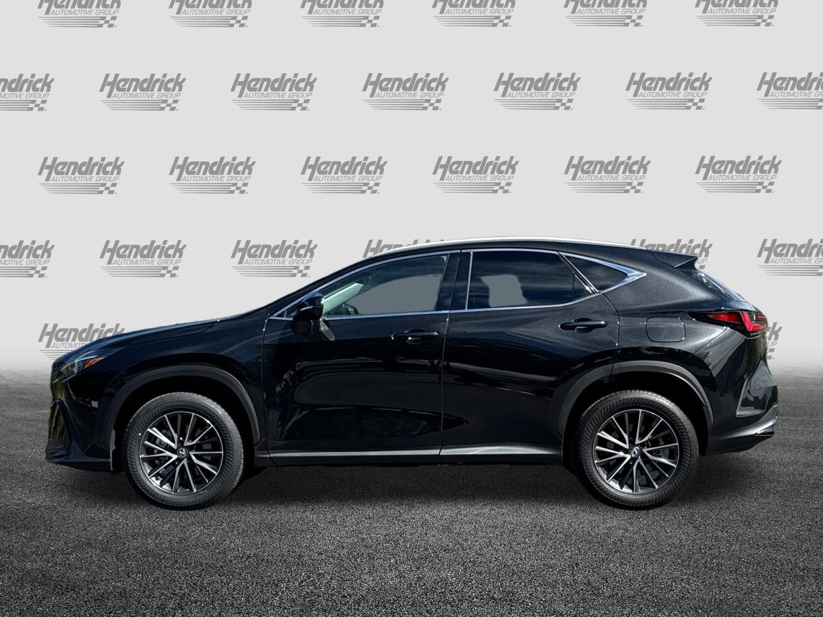 Certified 2024 Lexus NX 350h AWD w/ Cold Area Package image 8