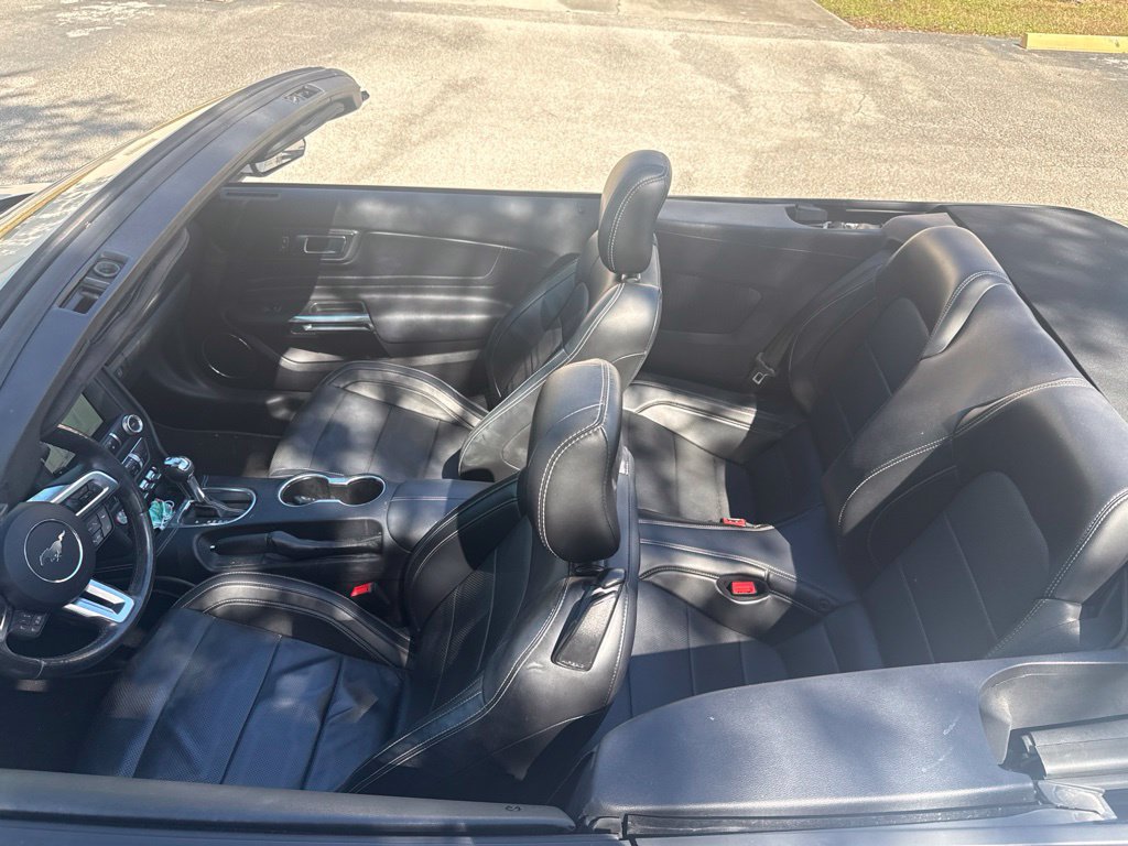 Used 2019 Ford Mustang Premium w/ Equipment Group 201A RWD image 3