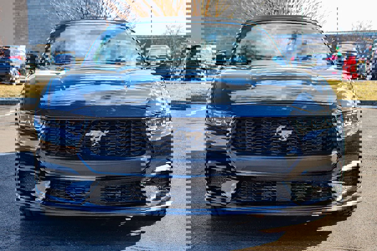 Used 2024 Ford Mustang Premium image 2