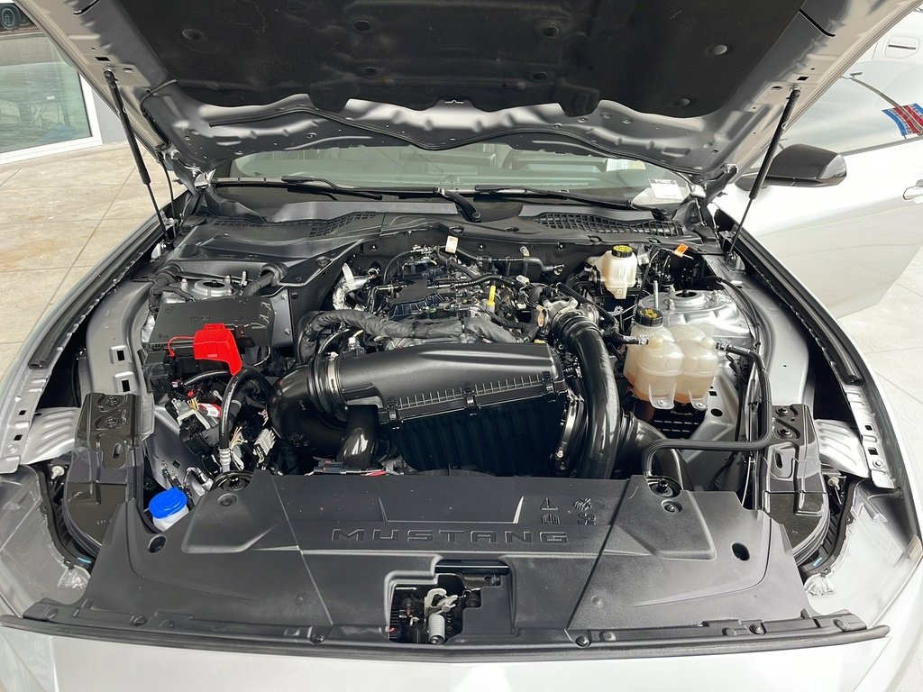 Certified 2024 Ford Mustang EcoBoost image 33