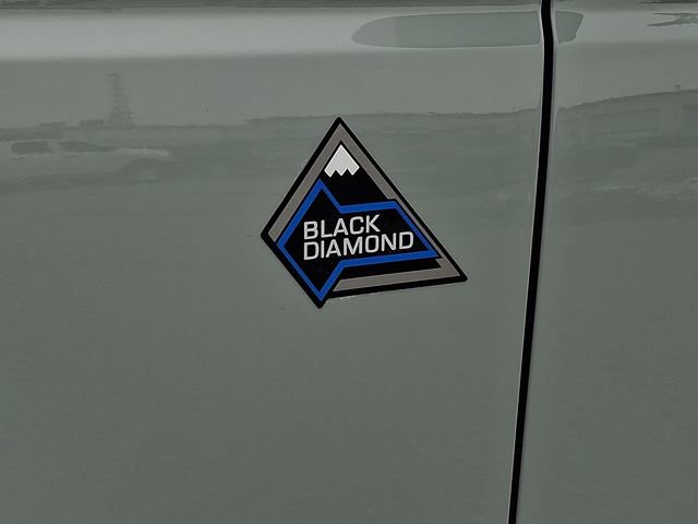 Used 2022 Ford Bronco Black Diamond image 32
