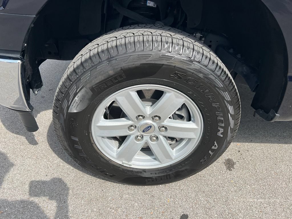 Used 2025 Ford F150 XL w/ Equipment Group 103A High AWD/4WD image 13