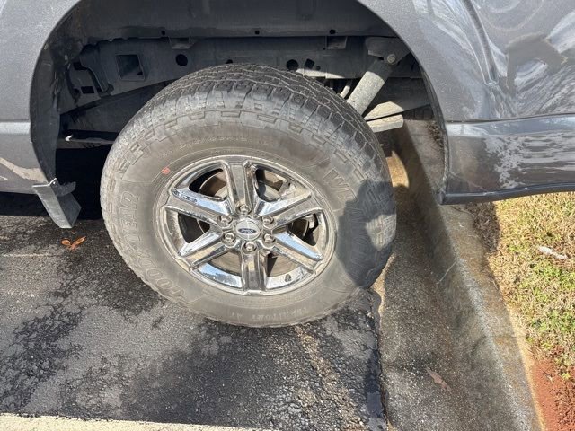 Used 2025 Ford F150 XLT w/ Equipment Group 301A Standard image 34