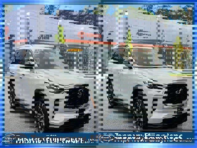 Used 2023 INFINITI QX60 Luxe w/ Cargo Package video 1