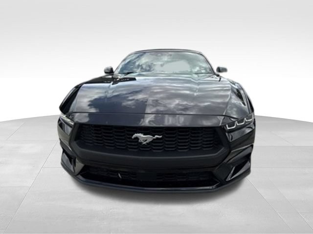 Used 2024 Ford Mustang Premium RWD image 22
