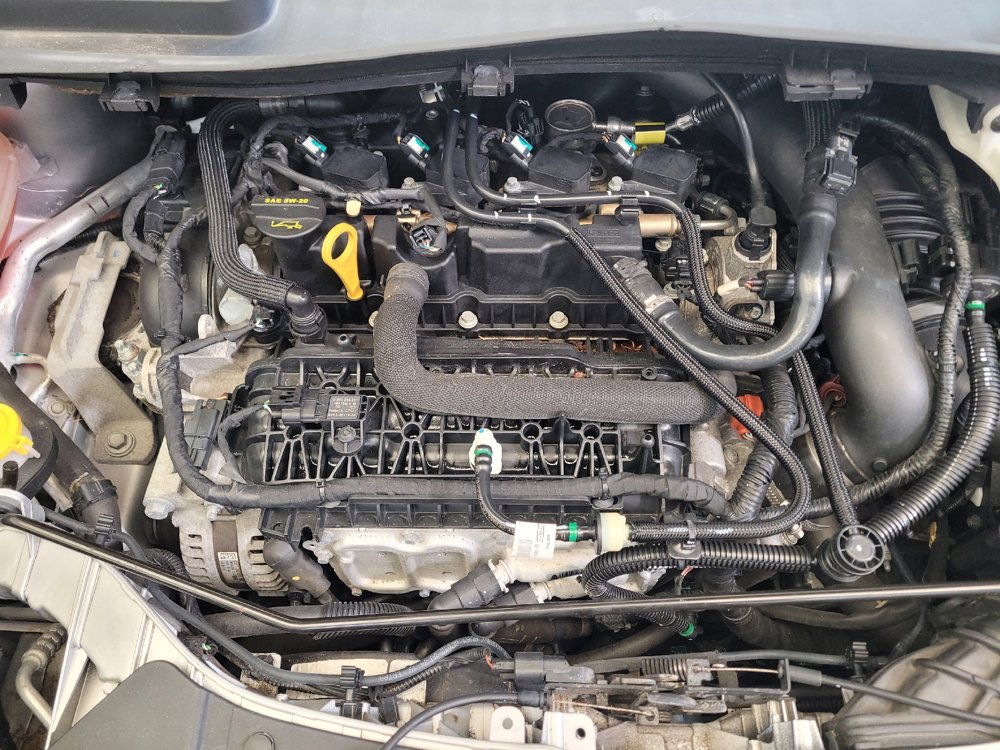 Used 2019 Ford Escape SE FWD image 30