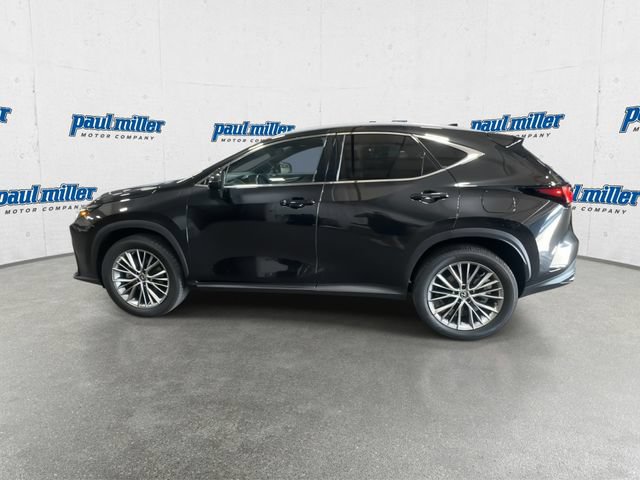 Used 2023 Lexus NX 350h AWD image 7