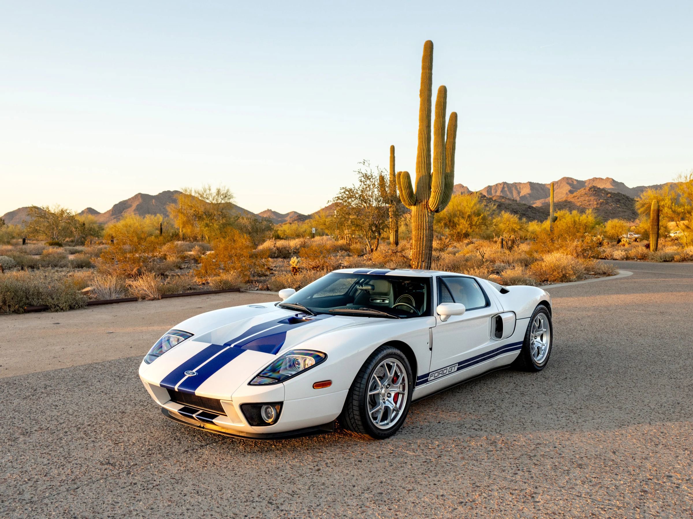 Used 2005 Ford GT image 22