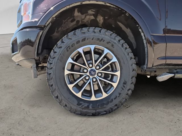 Used 2019 Ford F150 XLT w/ Equipment Group 302A Luxury AWD/4WD image 14