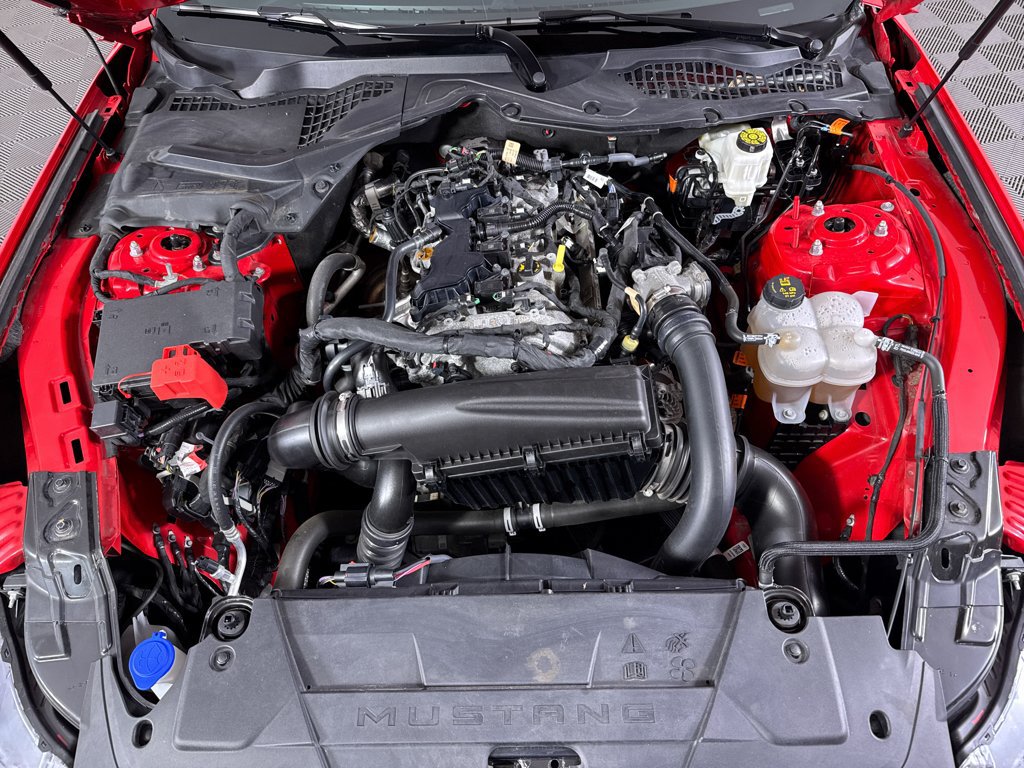 Used 2024 Ford Mustang Premium RWD image 2