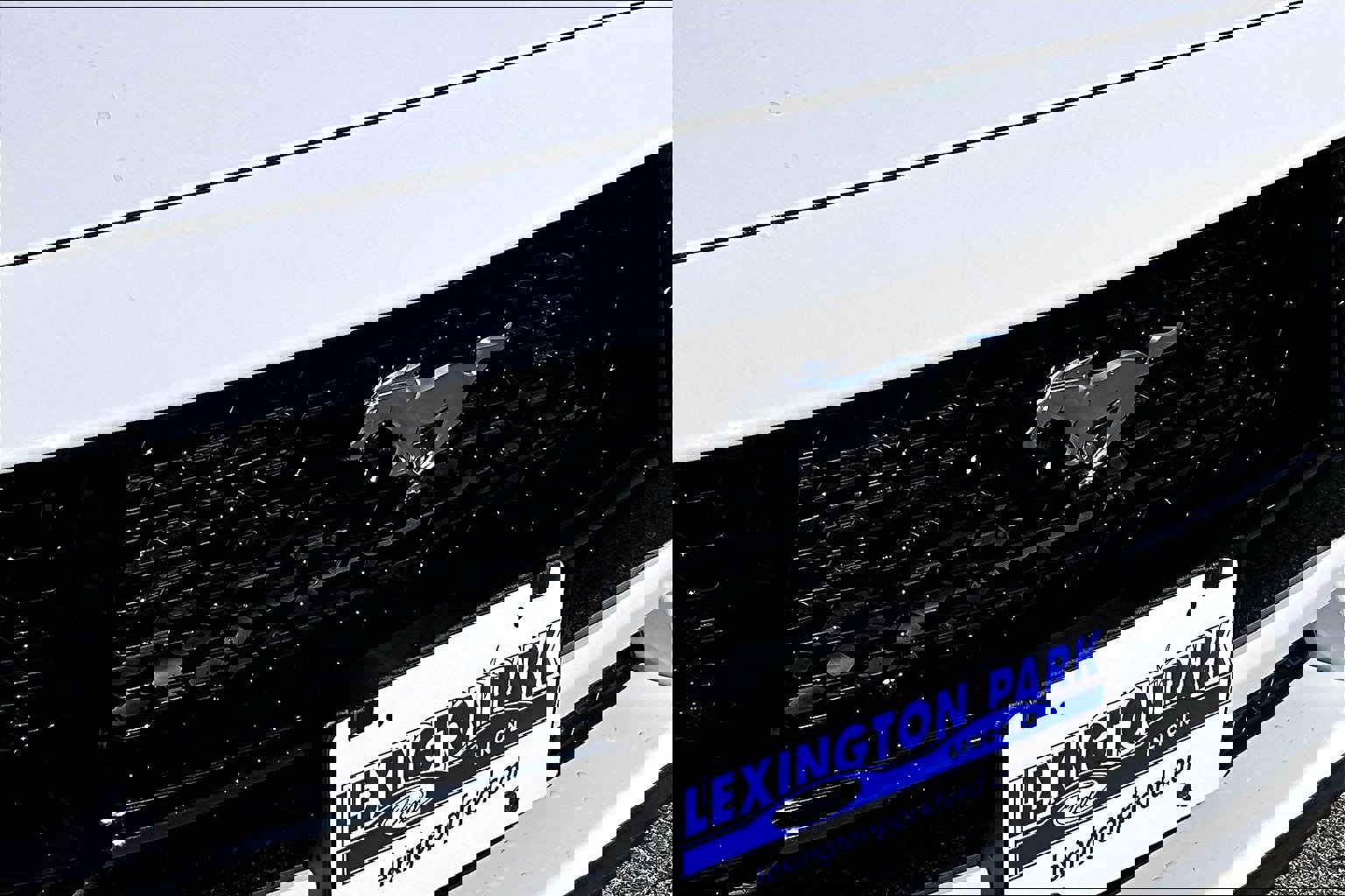 Used 2025 Ford Mustang GT Premium image 34