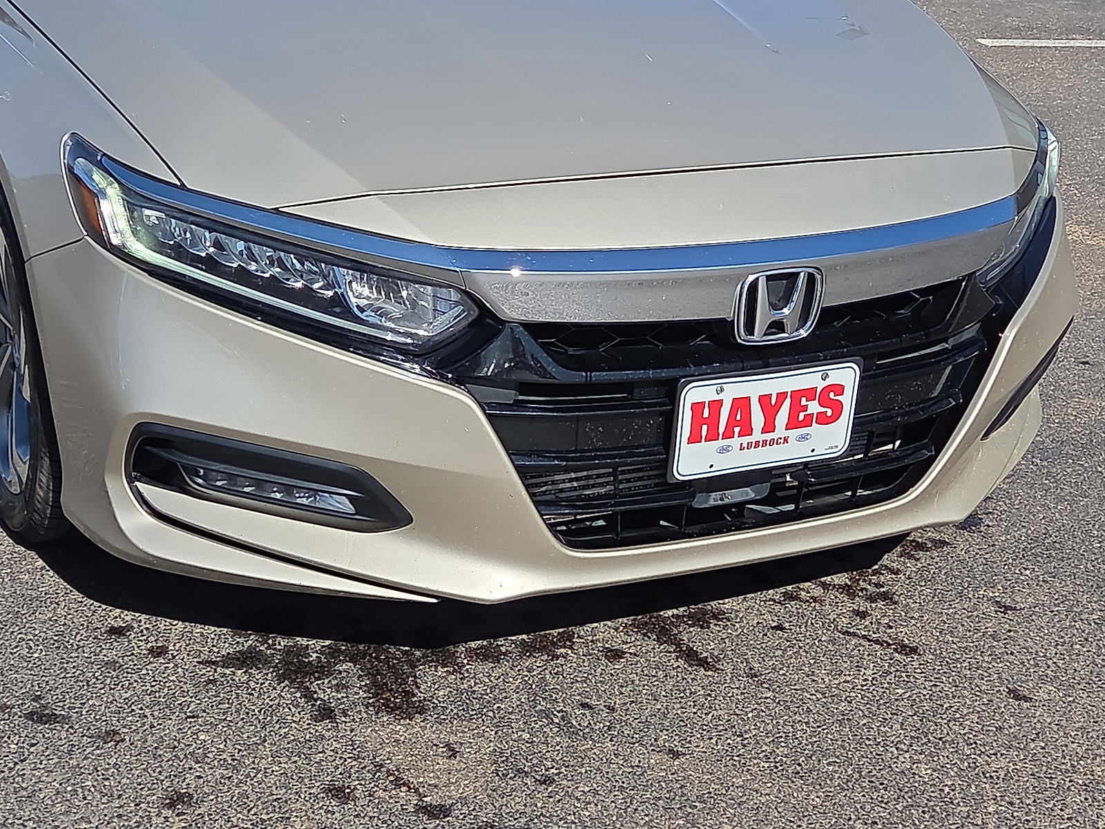 Used 2020 Honda Accord EX image 6