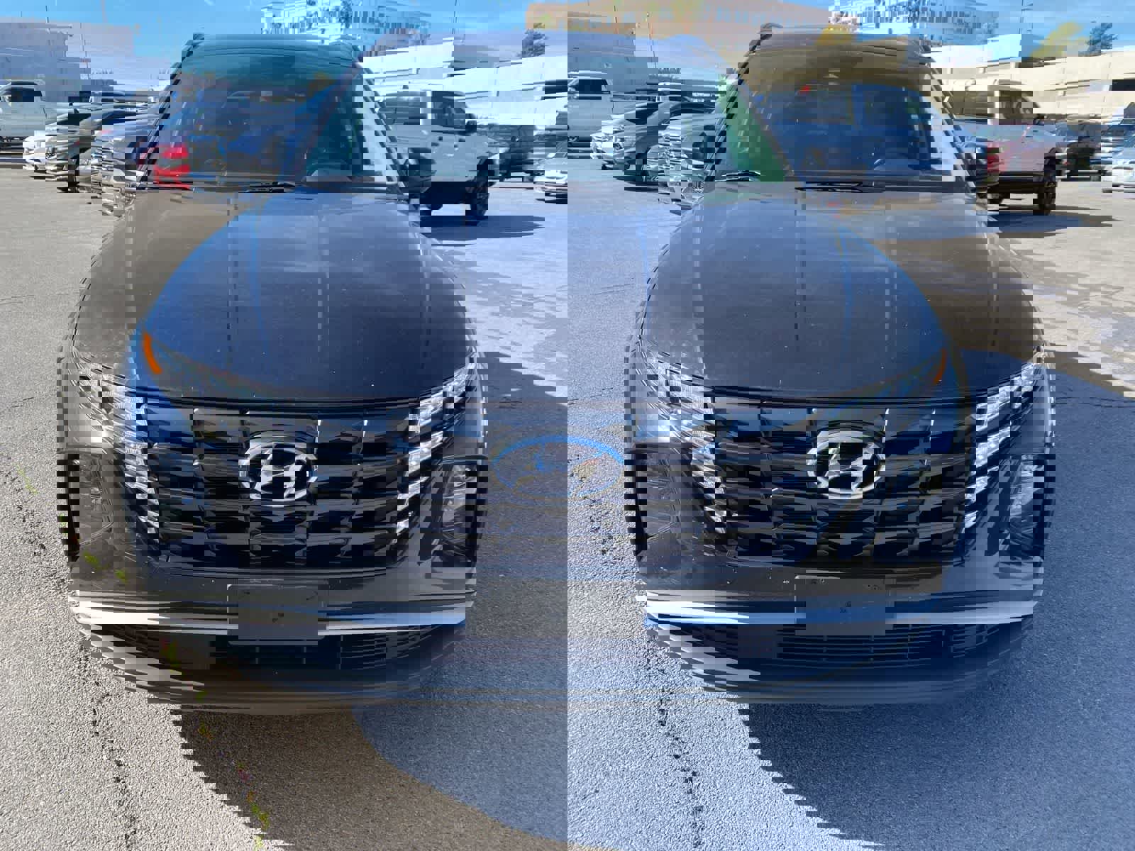 Used 2023 Hyundai Tucson Blue image 2