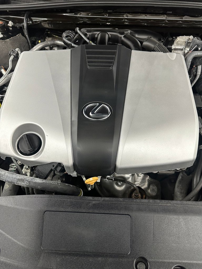 Used 2019 Lexus ES 350 w/ Accessory Package 2 FWD image 7