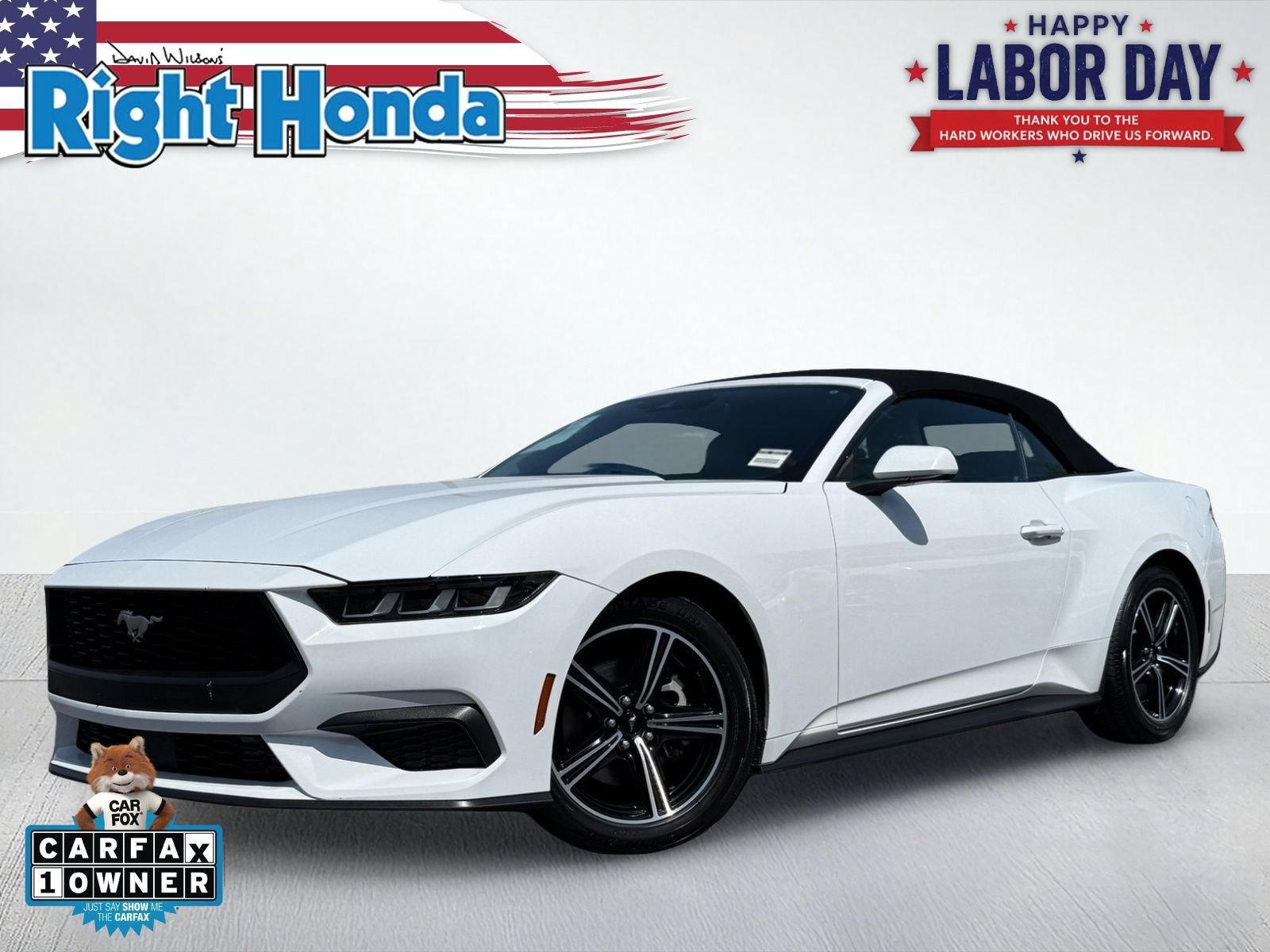 Used 2024 Ford Mustang Premium RWD image 1
