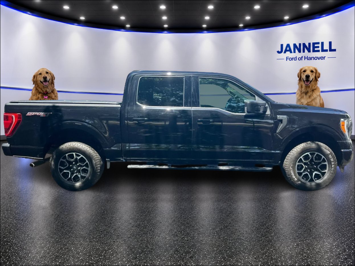 Used 2023 Ford F150 XLT w/ Equipment Group 302A High AWD/4WD image 4