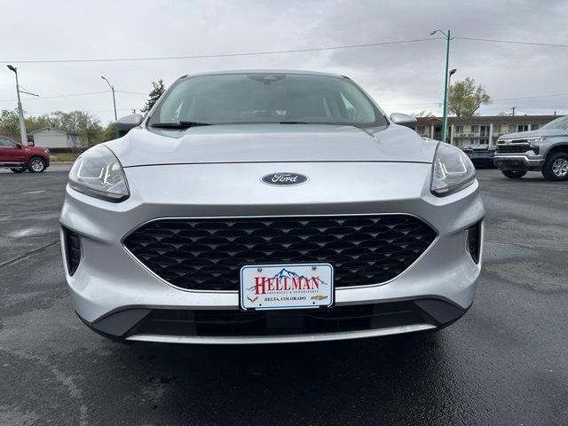 Used 2020 Ford Escape SE image 2
