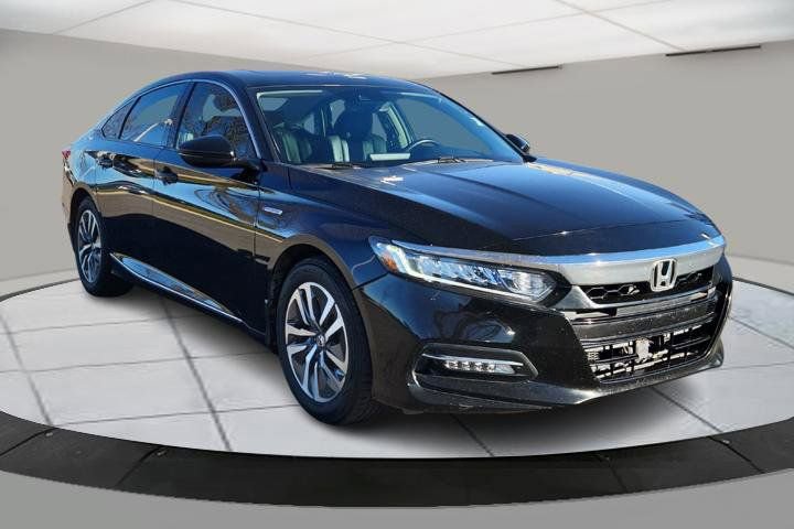 Used 2019 Honda Accord EX-L image 7