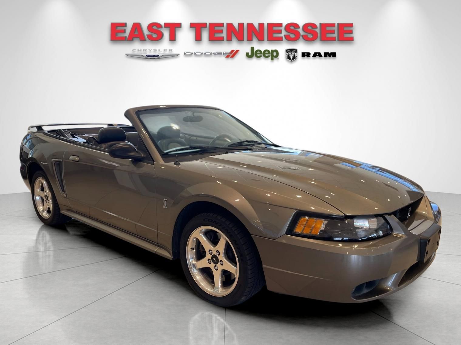 Used 2001 Ford Mustang Cobra RWD image 7
