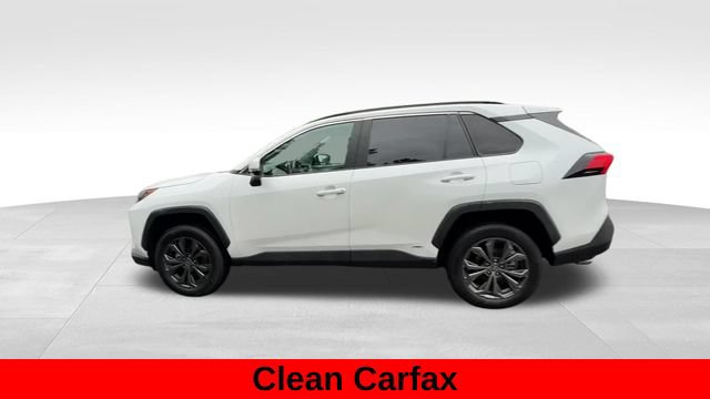 Used 2025 Toyota RAV4 XLE Premium w/ Weather Package AWD/4WD image 3