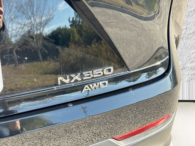 Used 2024 Lexus NX 350 F Sport image 11